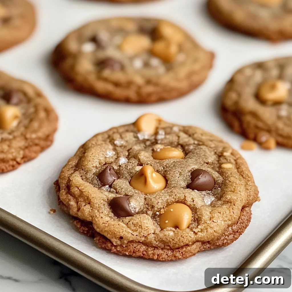 Easy Chocolate Chip Butterscotch Cookies