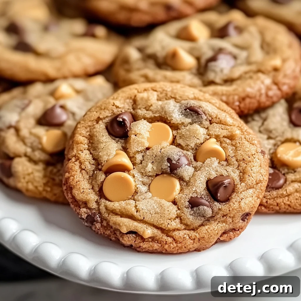 Easy Chocolate Chip Butterscotch Cookies