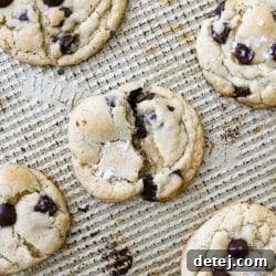 Chocolate Chip Cookies