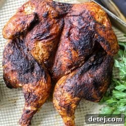 Finished Juicy Grilled Whole Chicken for recipe card