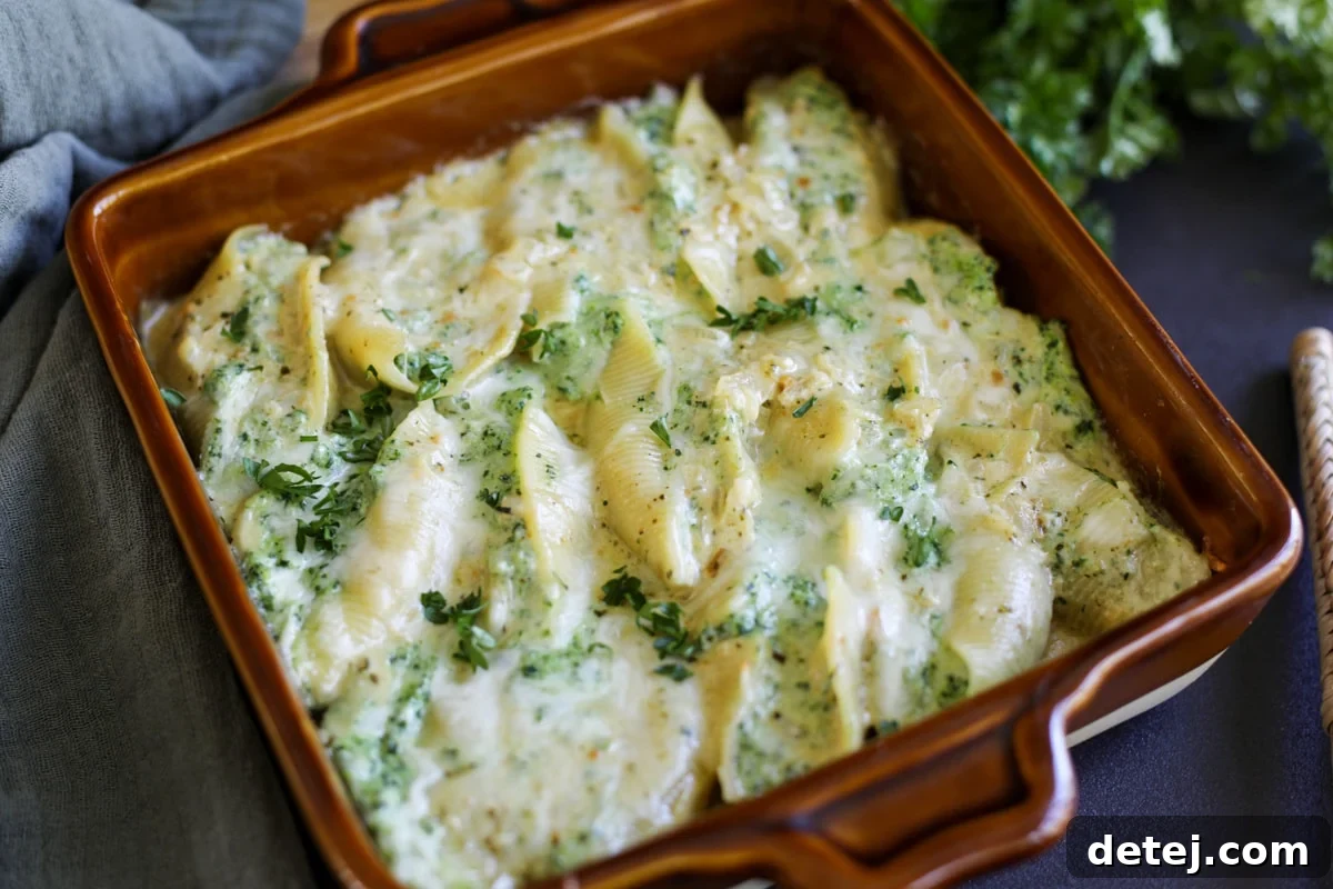 stuffed shells in a pan with melted, bubbly cheese on top, golden brown.