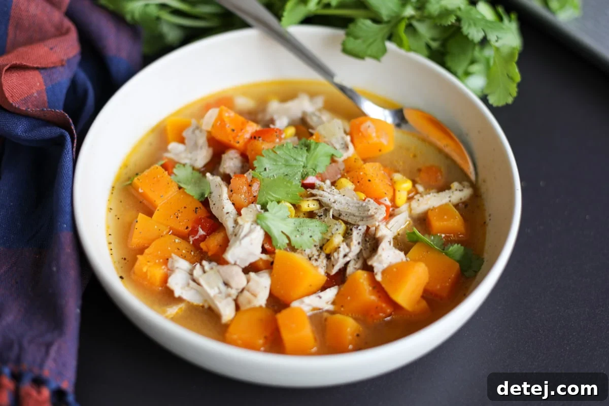 butternut squash and chicken soup in a bowl with cilantro.