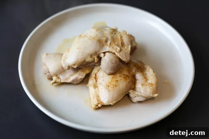 Chicken thighs to be shredded on a plate. 