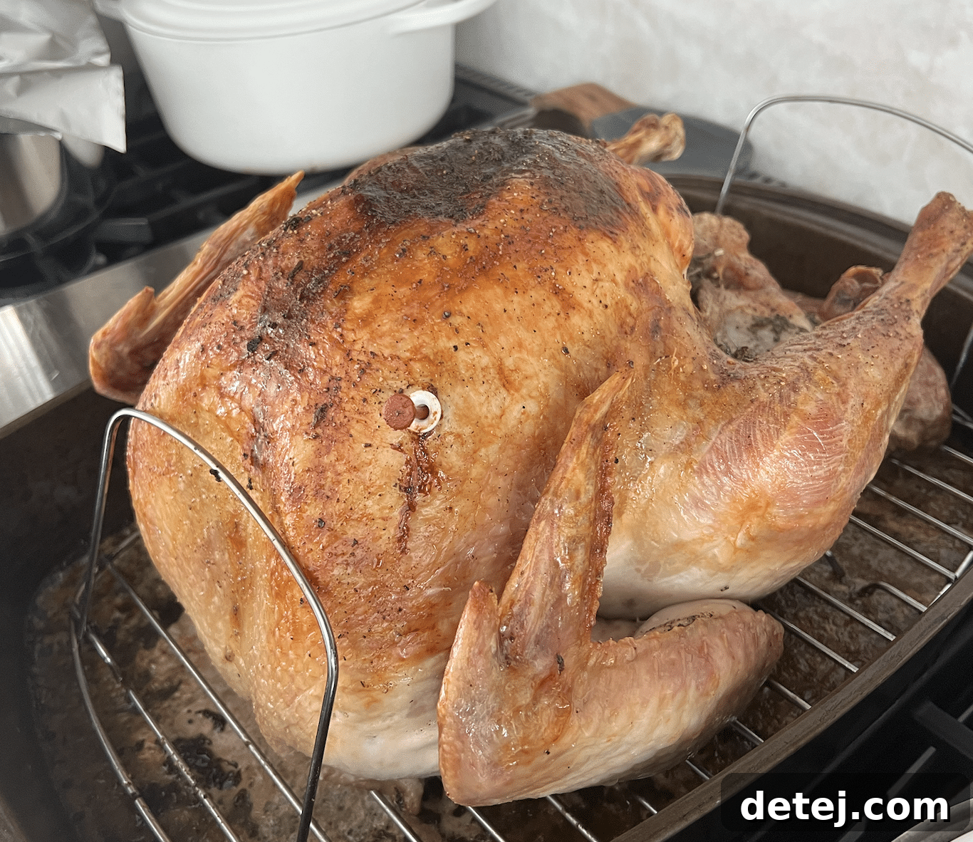 Close-up of a golden-brown cooked turkey, ready for carving.