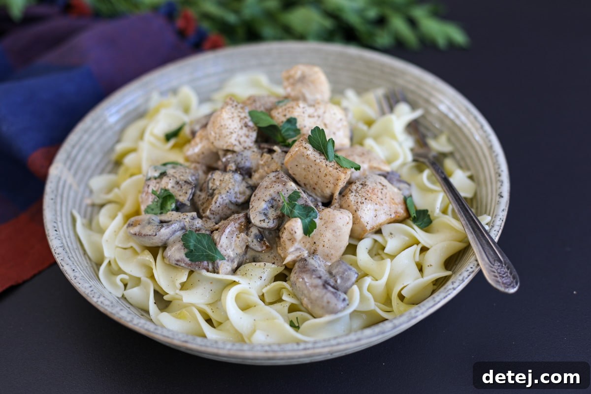 chicken stroganoff in a bowl with egg noodles. 