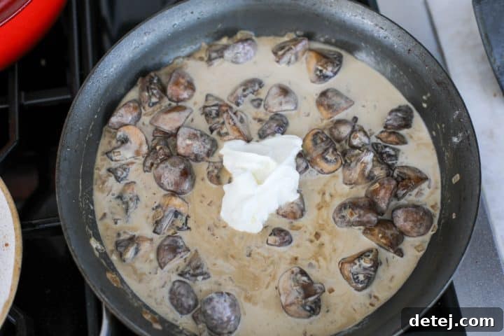 sour cream added to the sauce. 