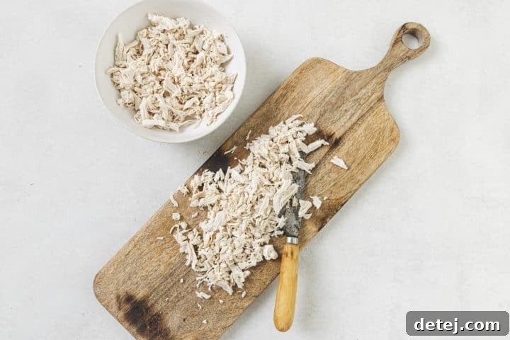 shredded chicken. 