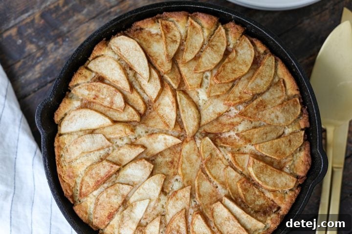 Delicious Skillet Dutch Apple Cake, a wholesome dessert perfect for any occasion.
