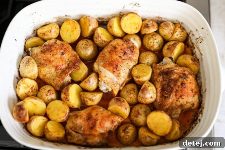 A freshly roasted pan of chicken and potatoes, golden brown and garnished with fresh parsley.
