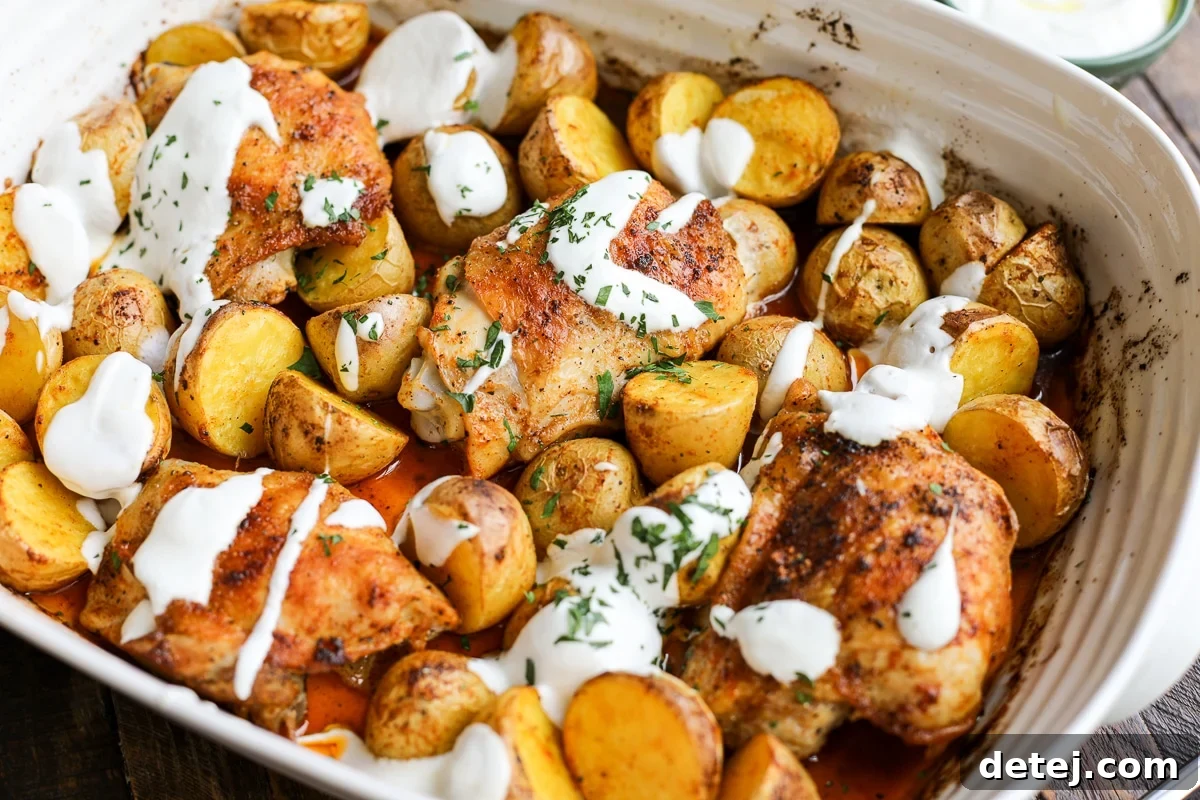 One Pan Roasted Chicken and Potatoes drizzled with creamy yogurt sauce and fresh herbs, ready for serving.