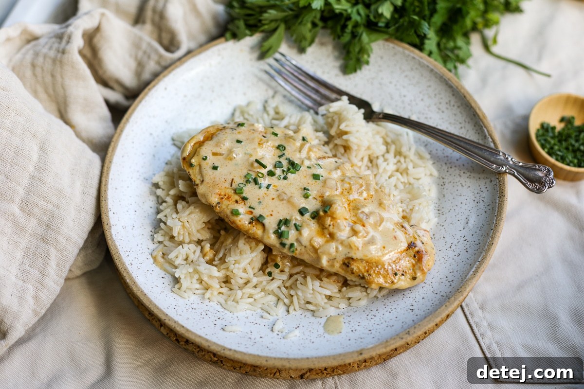 Blackened chicken and rice plated, ready to eat.