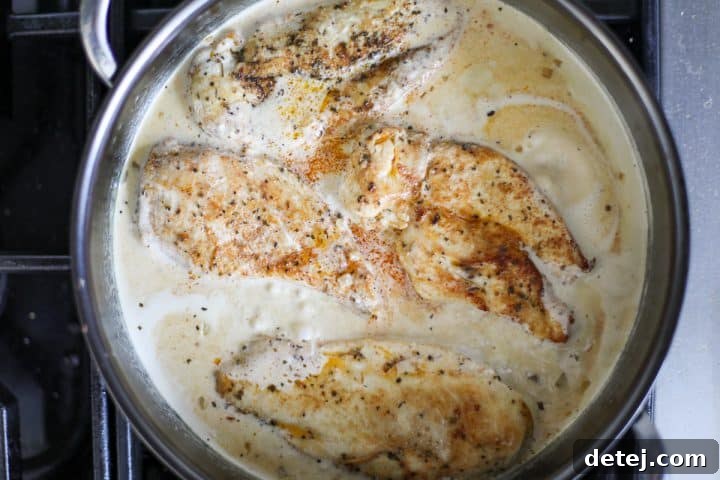 Seared chicken returned to the pan with the creamy mustard sauce.