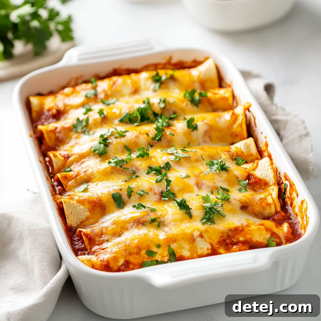 Chicken and Cheese Red Enchiladas