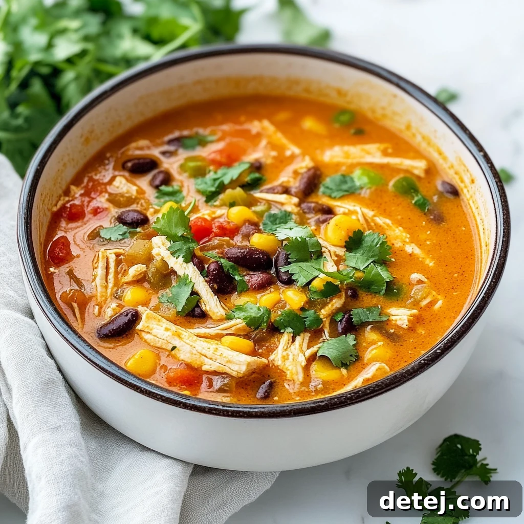 Garnished Easy Chicken Enchilada Soup
