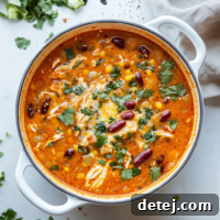 Easy Chicken Enchilada Soup