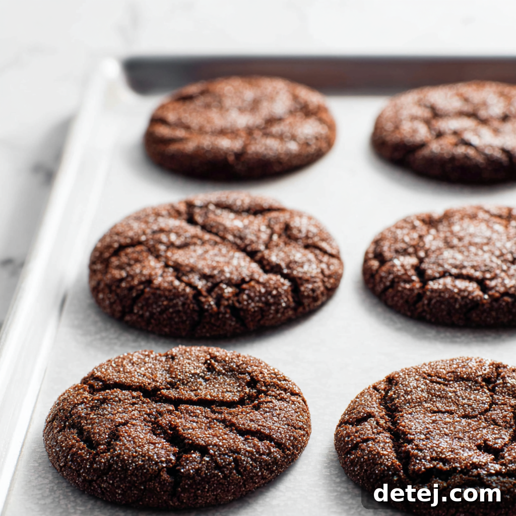Easy Chocolate Sugar Cookies