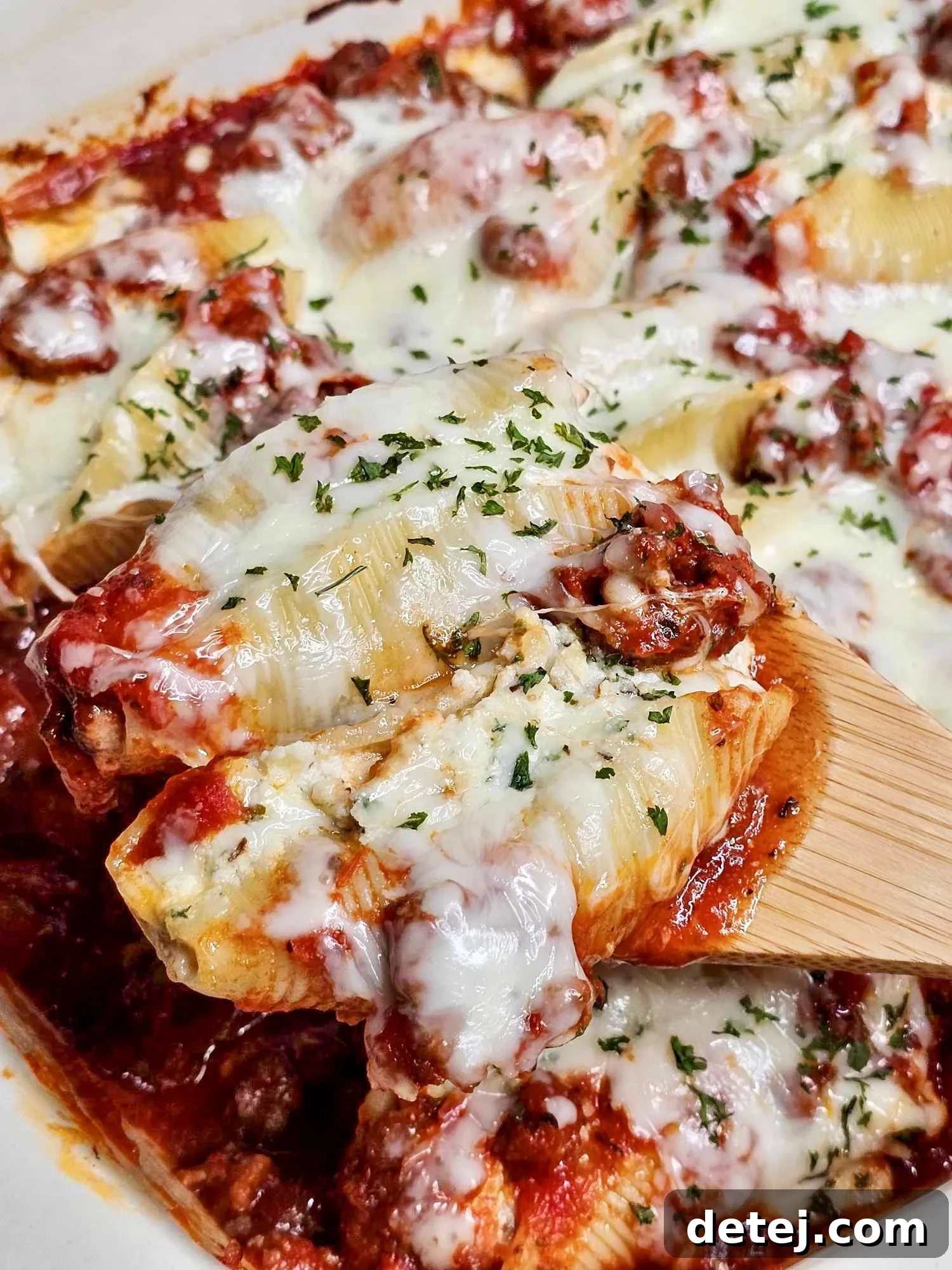 Timeless Cheesy Shells 2 Classic Cheese Pasta Shells