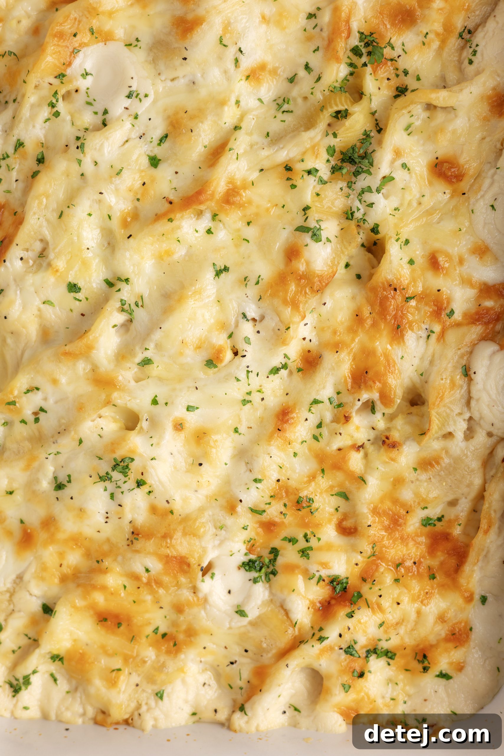 Cheesy Chicken Alfredo Stuffed Shells baked until golden and bubbly