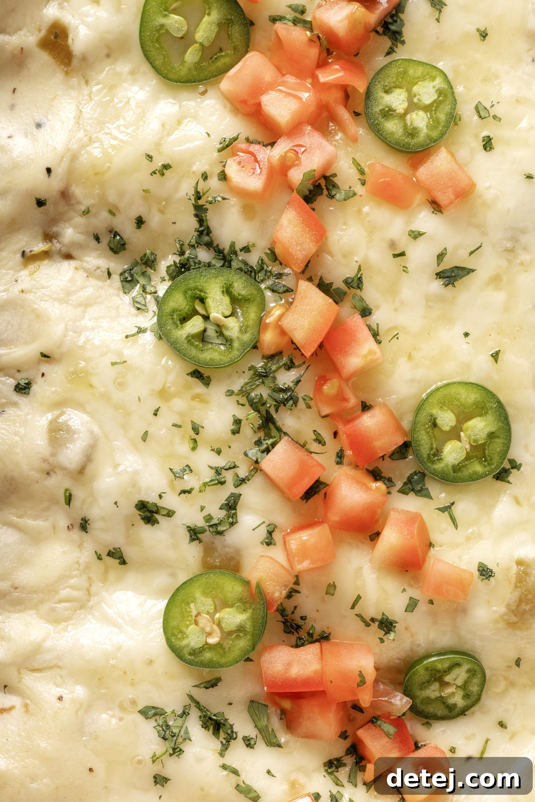 Creamy White Chicken Enchiladas