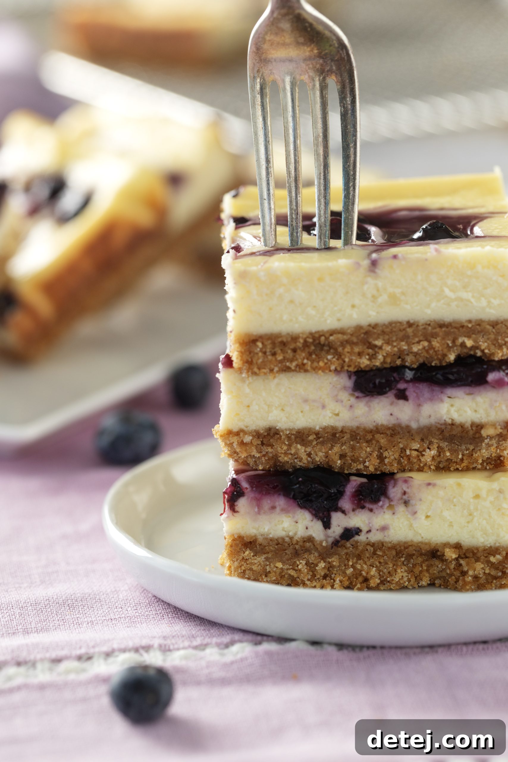 Blueberry Swirl Cheesecake Bars